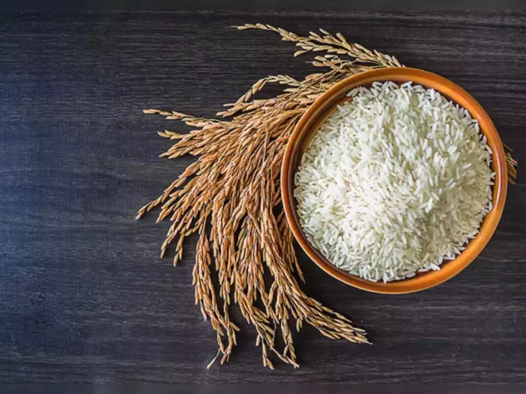 Rice: A Staple Grain with Surprising Health Benefits and Global Impact