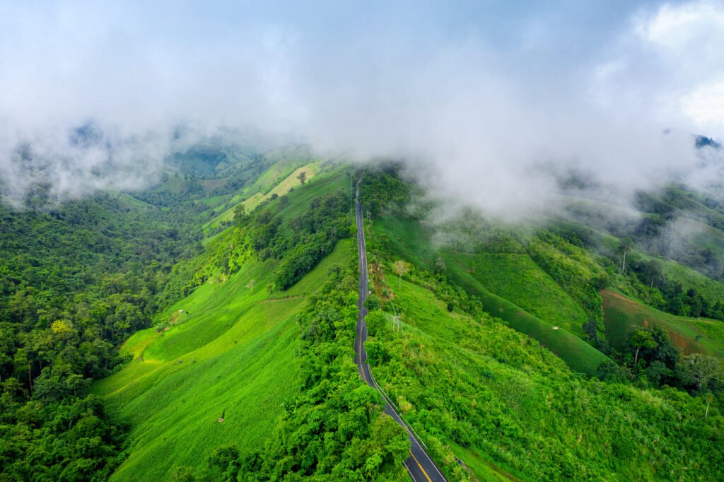 Nagaland